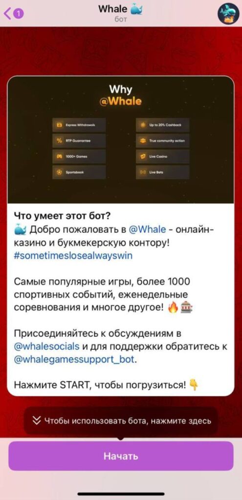 Как найти Whale казино в Telegram